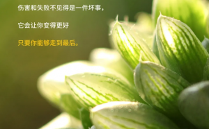 请为这个今天加油而努力!-早安心语