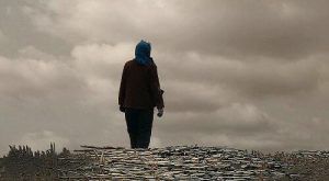 只想做个傻子...-早安心语