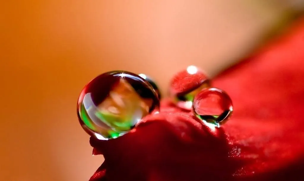 正能量句子励志短句子，让对方看到暖心的句子-早安心语