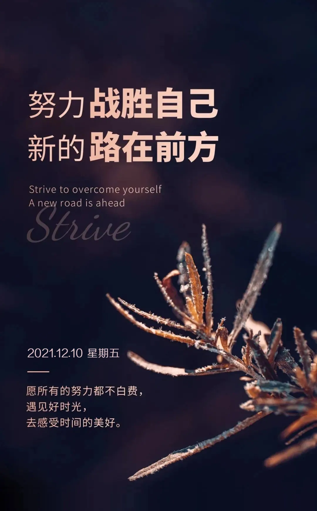 朋友圈流行的早上好图片正能量励志-早安心语