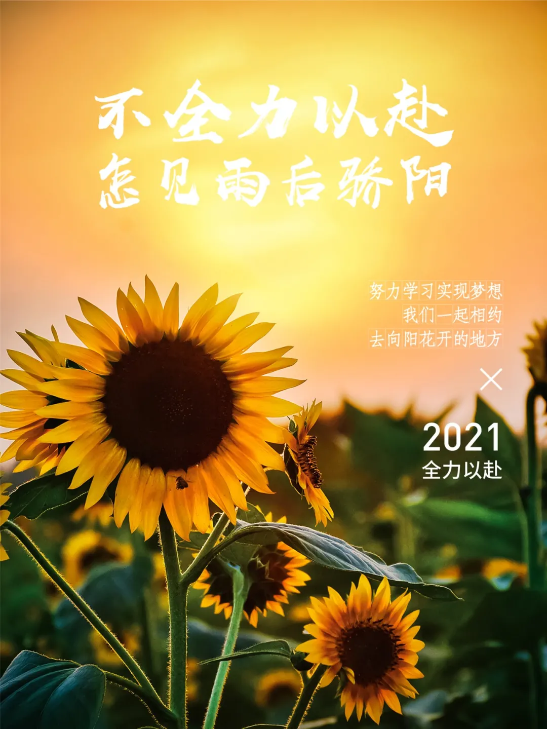 新的一天早上好暖心问候语图片带字-早安心语