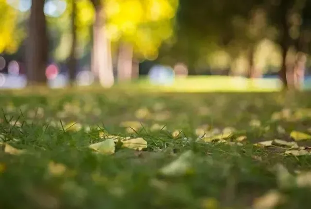 图片[2]-童年快乐简短的句子（形容快乐的简单句子）-早安心语