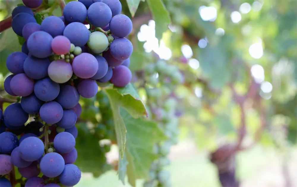 图片[3]-发朋友圈早安的句子（朋友圈早安激励语）-早安心语