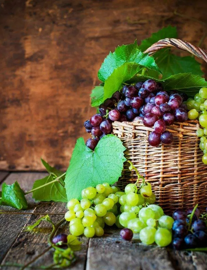 图片[7]-发朋友圈早安的句子（朋友圈早安激励语）-早安心语