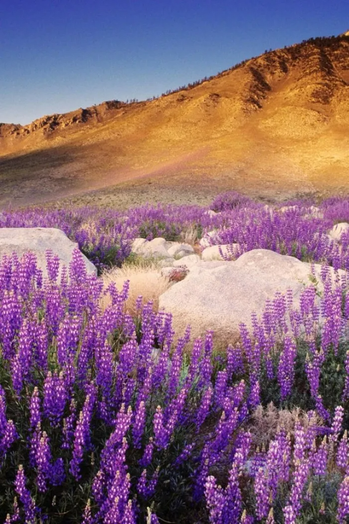 图片[3]-精辟的句子（哲理句子精辟），精彩句子摘抄-早安心语