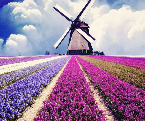 图片[5]-精辟的句子（哲理句子精辟），精彩句子摘抄-早安心语