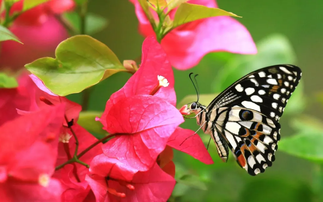 图片[2]-简单又暖心的晚安心语（适合自己的心情语录）-早安心语
