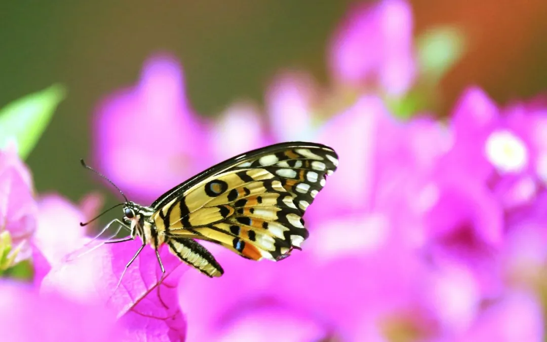 图片[4]-简单又暖心的晚安心语（适合自己的心情语录）-早安心语