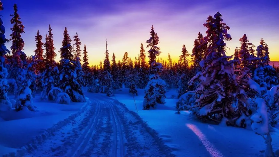 人生若只如初见（最透彻的人生感悟）-早安心语