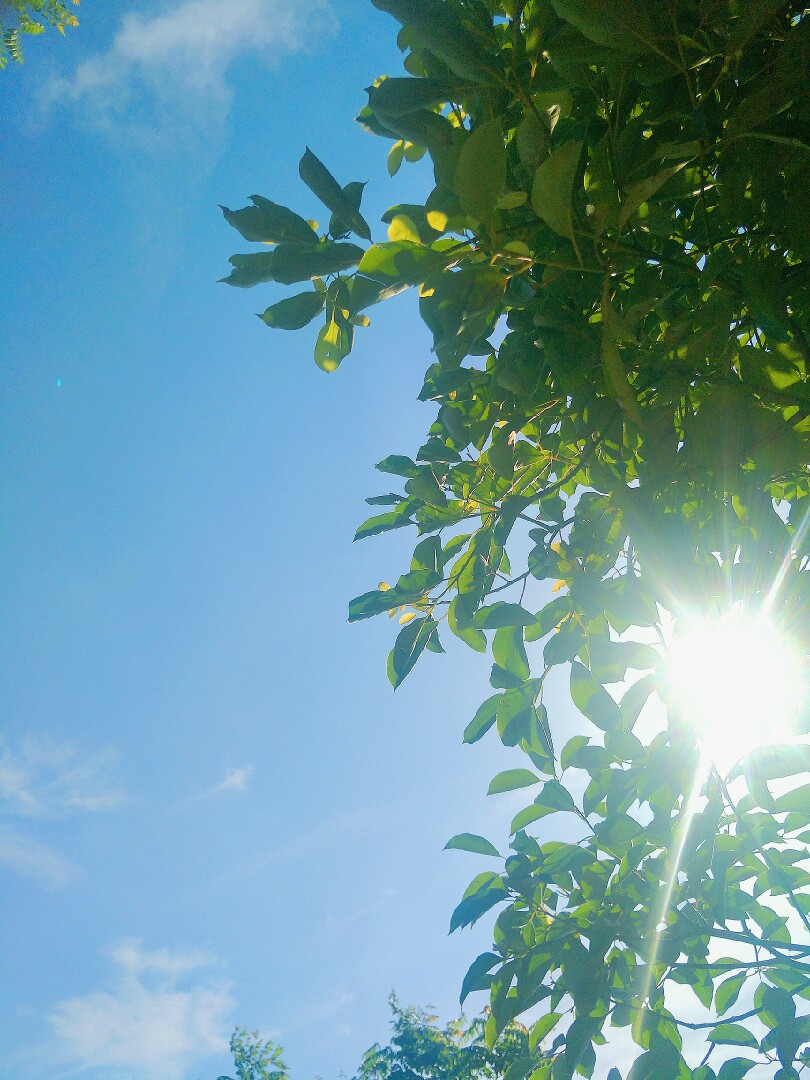 描写清晨的优美句子（清晨问候语）-早安心语