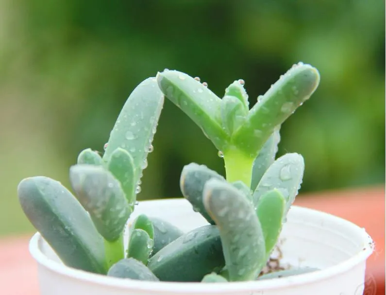 图片[7]-女人最好的状态语录（早安语录适合发朋友圈早安的句子）-早安心语