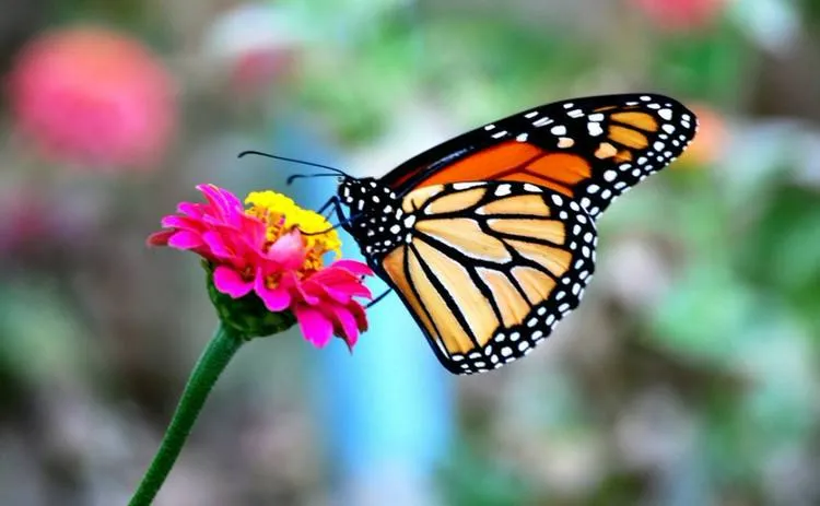 励志的句子经典语句