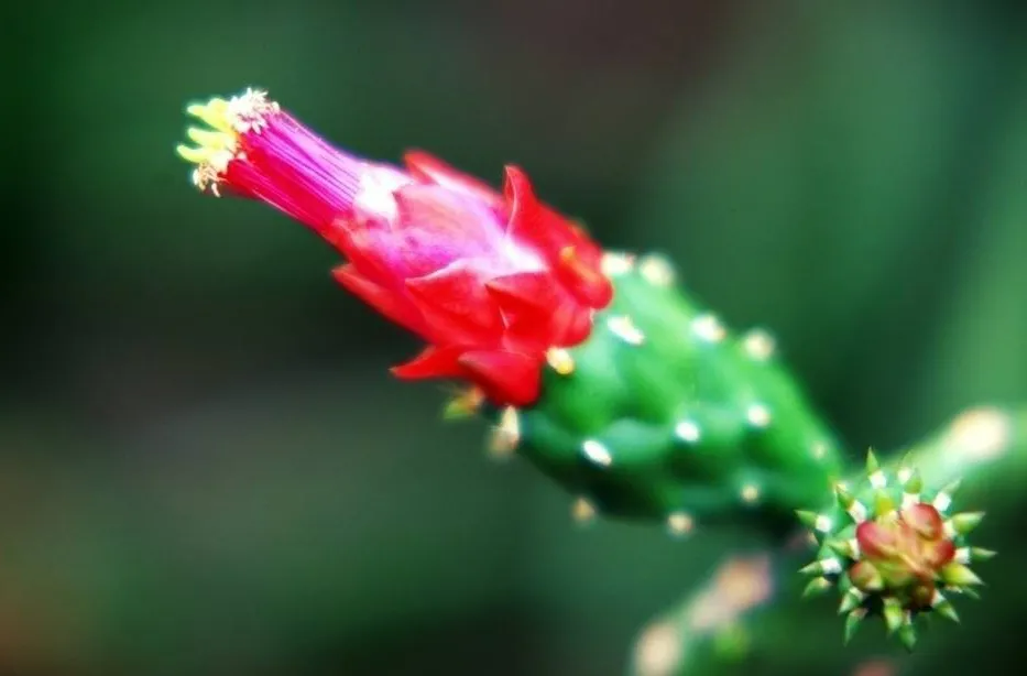 关于励志的句子