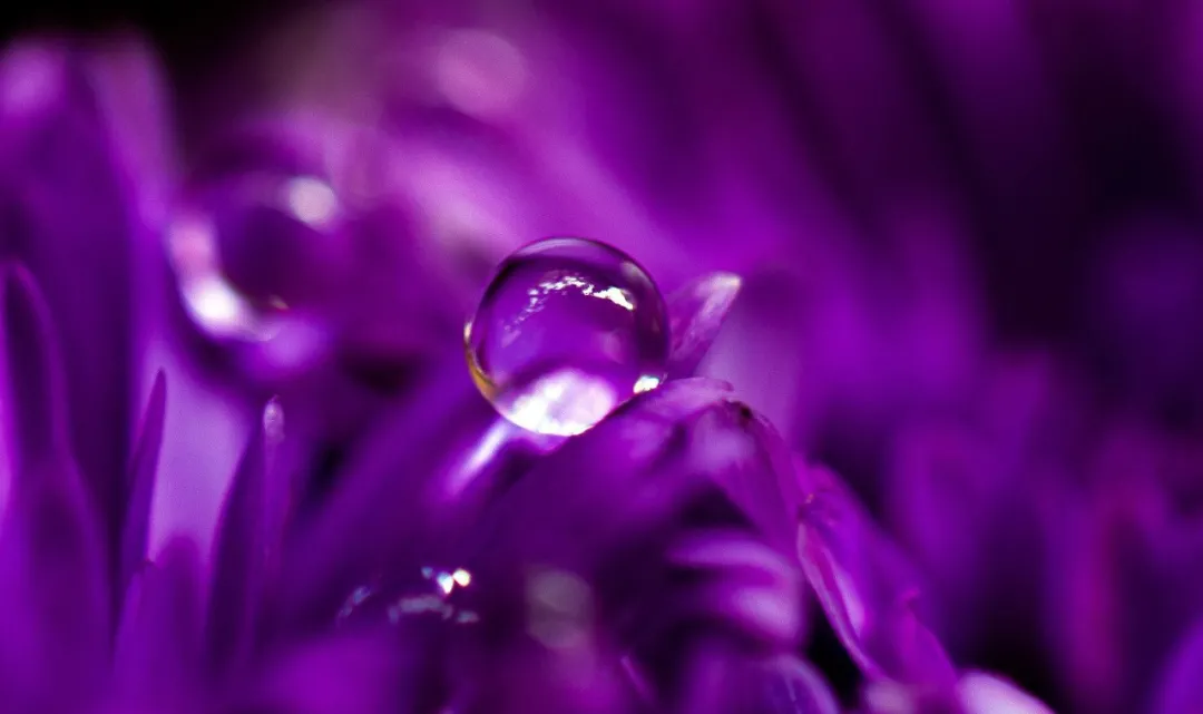 图片[6]-生活句子发朋友圈（生活句子表达心情短句）-早安心语