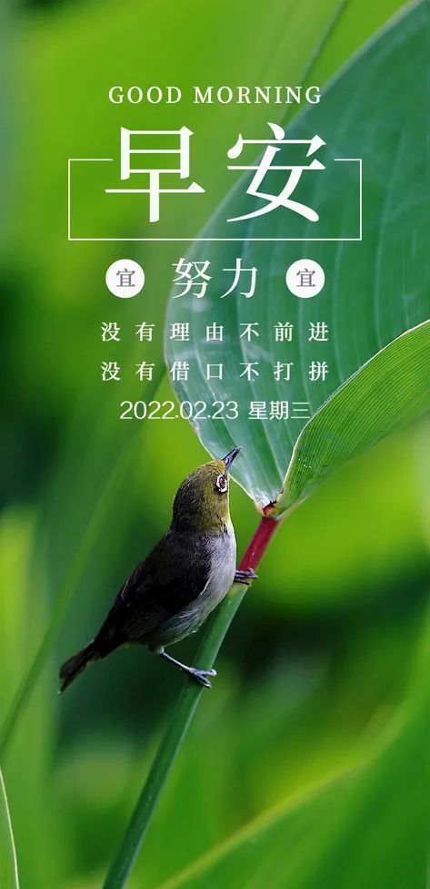 早安语句正能量的句子（早安正能量）-早安心语