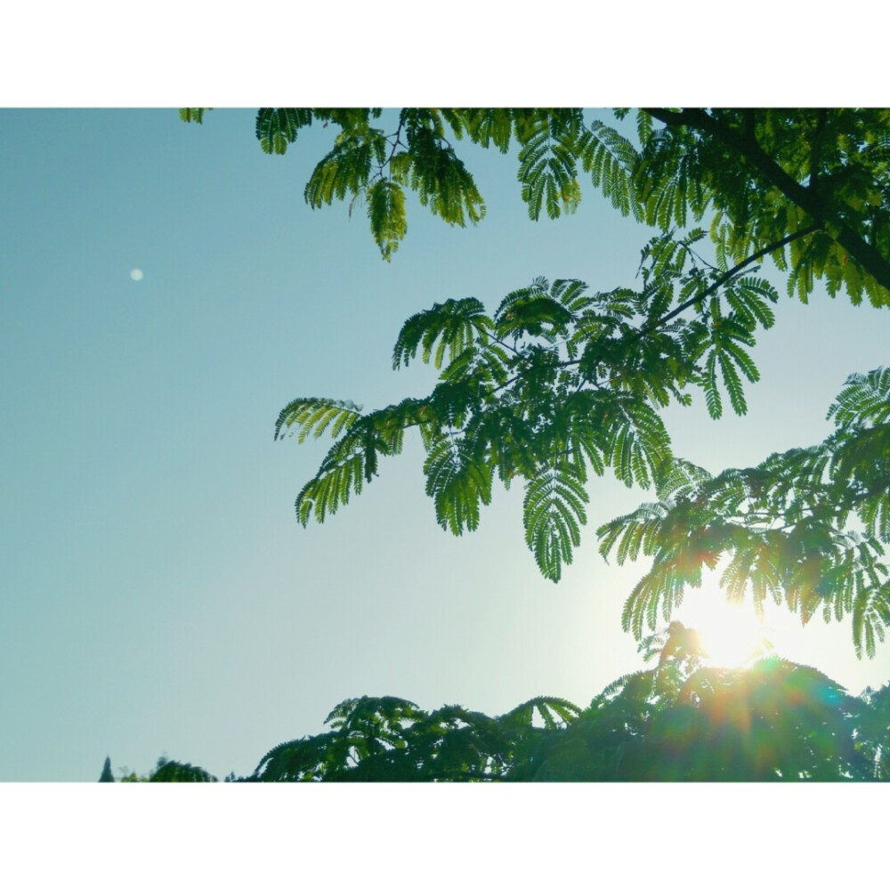 早晨祝福语（这是一个晴朗的早晨）-早安心语