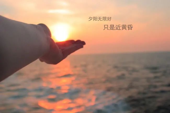 图片[5]-人生感悟的句子（适合抄在摘抄本上的句子）-早安心语