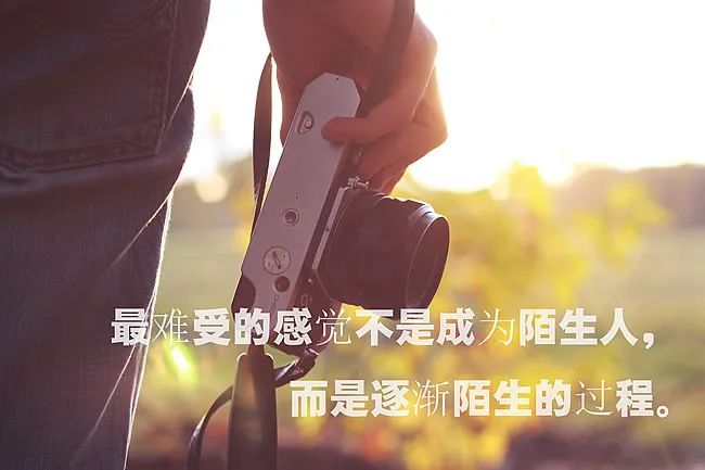 图片[7]-人生感悟的句子（适合抄在摘抄本上的句子）-早安心语