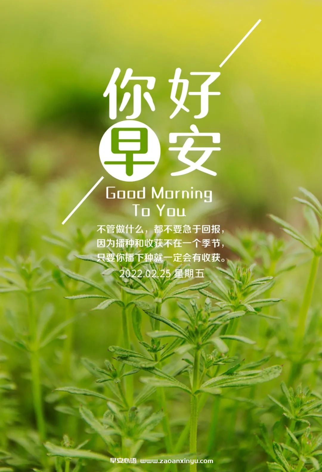 图片[5]-励志语录经典短句-早安心语