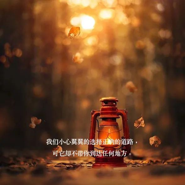 图片[3]-清晨的阳光唯美句子（唯美图片）-早安心语