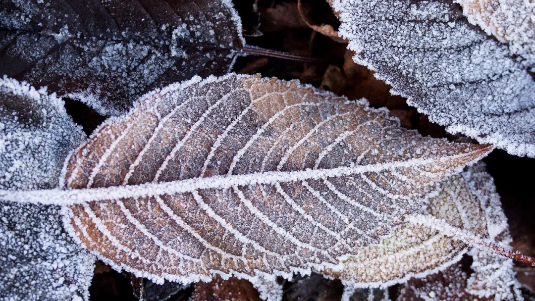 早安正能量说说朋友圈（周一早安正能量说说朋友圈）-早安心语
