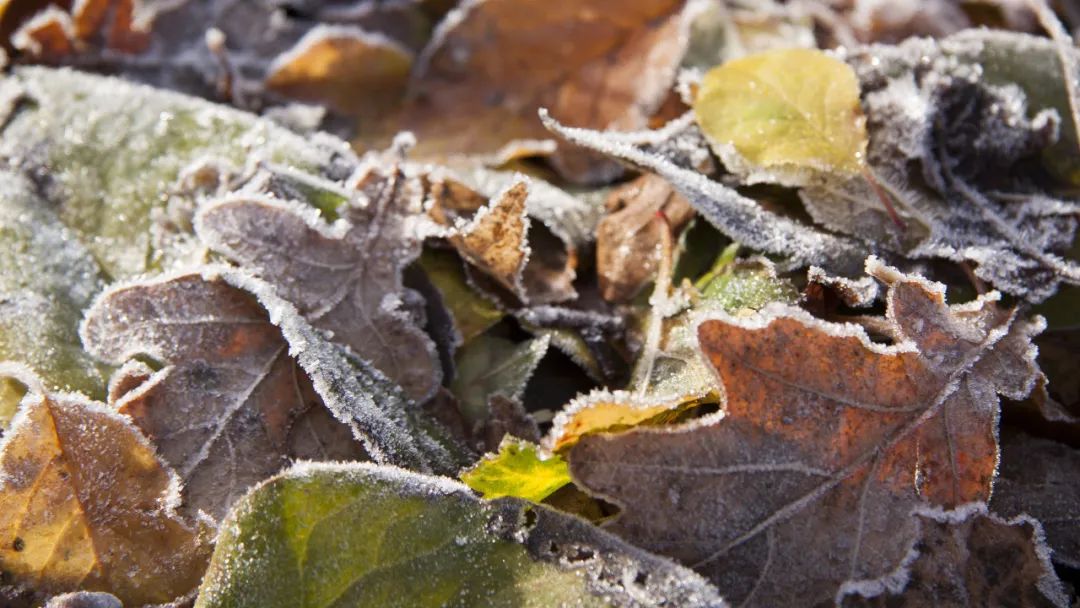 图片[2]-早安正能量说说朋友圈（周一早安正能量说说朋友圈）-早安心语