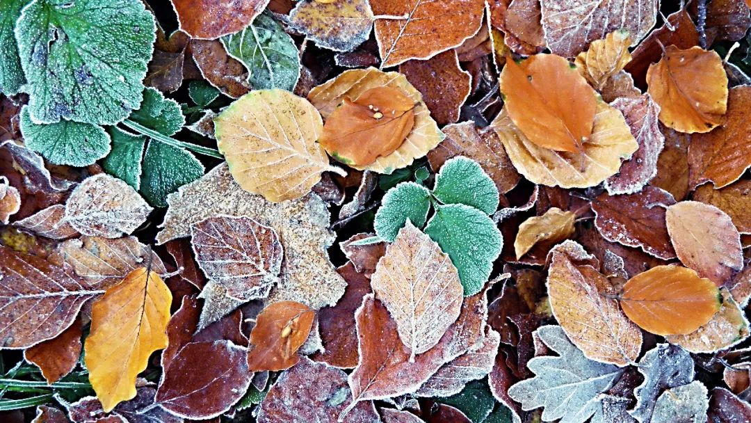 图片[3]-早安正能量说说朋友圈（周一早安正能量说说朋友圈）-早安心语