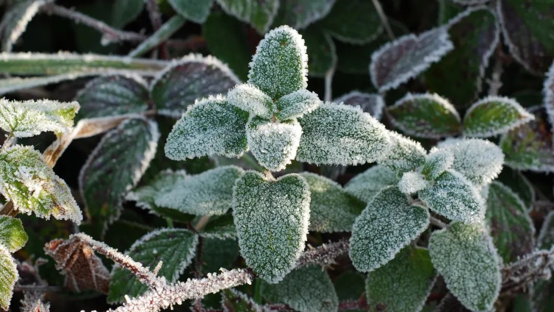 图片[5]-早安正能量说说朋友圈（周一早安正能量说说朋友圈）-早安心语