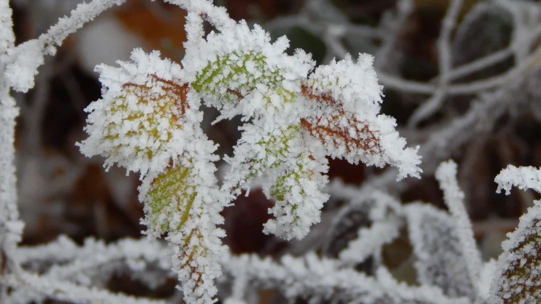图片[6]-早安正能量说说朋友圈（周一早安正能量说说朋友圈）-早安心语