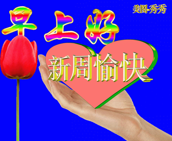 周一祝福语（周一早安暖心问候语）-早安心语