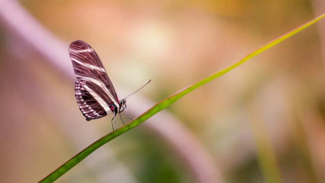图片[4]-早安文案：早安文案短句干净治愈-早安心语