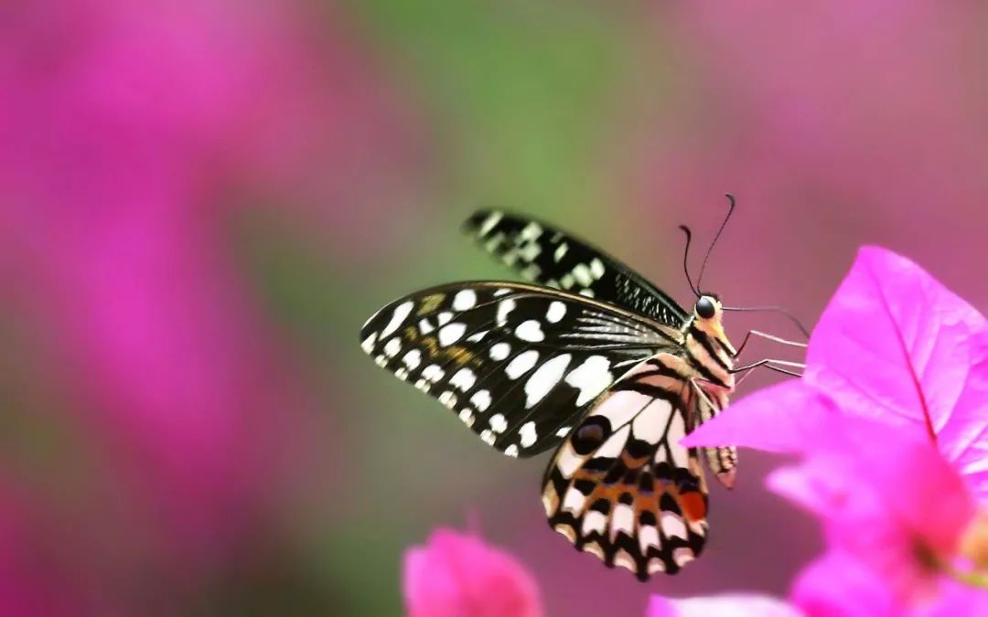 图片[5]-早安文案：早安文案短句干净治愈-早安心语