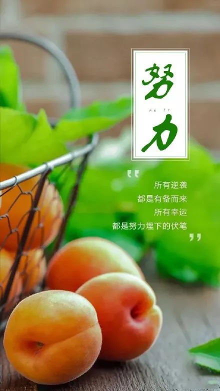 图片[6]-早安素材和文案：早安素材和文案正能量-早安心语