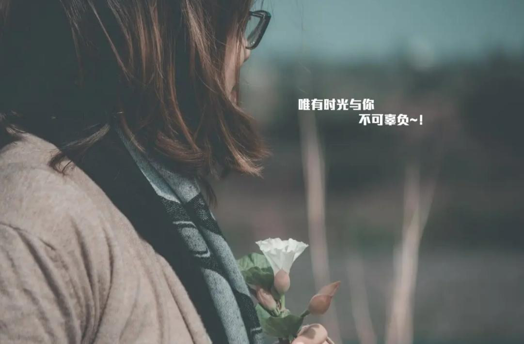 图片[2]-句子摘抄这些美好的神仙句子-早安心语