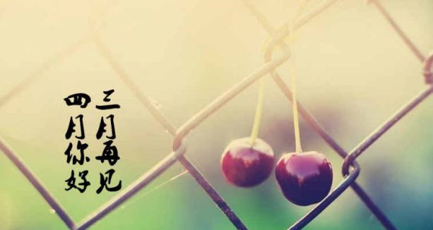 图片[5]-早安心语2022（早上好2022最新早安心语）-早安心语