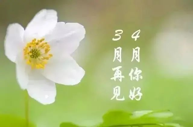 图片[6]-早安心语2022（早上好2022最新早安心语）-早安心语